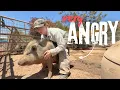 Farm Animals Choosing Violence
