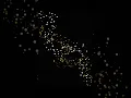 Scatter Brush in Adobe Illustrator
