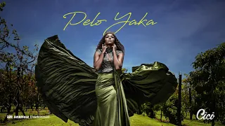 cici pelo yaka official audio 