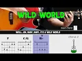 Download Lagu WILD WORLD - Mr. Big - Guitar lesson - Acoustic guitar with chords \u0026 lyrics