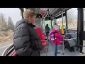 Download Lagu DPMB | Jízda autobusem SOR ICN 9,5 ev.č. 7530 na lince 65 (speciál za 500 odběratelů #2)