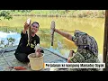 Download Lagu Rumah Di Tengah Hutan. Melihat Lebih Dekat Kehidupan Mamadoy Dayak di Pedalaman Kalimantan.