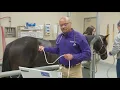 Large Animal Emergency Services at K-State s Veterinary Health Center