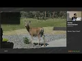 Devnexus 2023 - Know Your Java