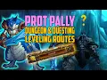 Group Dungeon and Questing Leveling for Prot Paladin - WotLK Classic