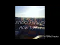 Lyric Video- How To Fly by Sticky Fingers