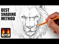 How To Draw a Lion Step by Step Sketch Tutorial