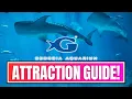Georgia Aquarium Guide To Fun Must-Know Tips