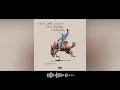 Bad Bunny - Fina ft. Young Miko (Visualizer)