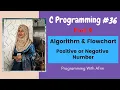 C Programming bangla tutorials Algorithm Flowchart Positive or Negative Numbers Part-9