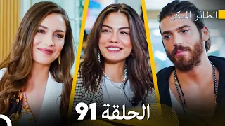مسلسل الطائر المبكر الحلقة 91 Arabic Dubbed FULL HD  مسلسل الطائر المبكر الحلقة 91 Arabic Dubbed FULL HD