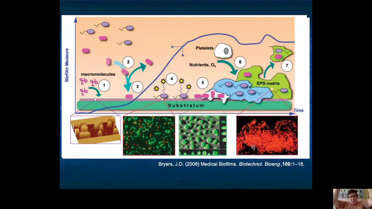 Biofilmes e Quorum Sensing parte 1