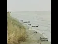 We Watched the Coastline - Jonathan Hannau