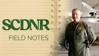 SCDNR Field Notes Bird s Eye View