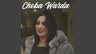 كل شوفة مخلوفة 