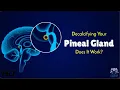 Decalcifying the Pineal Gland Fact or Fiction