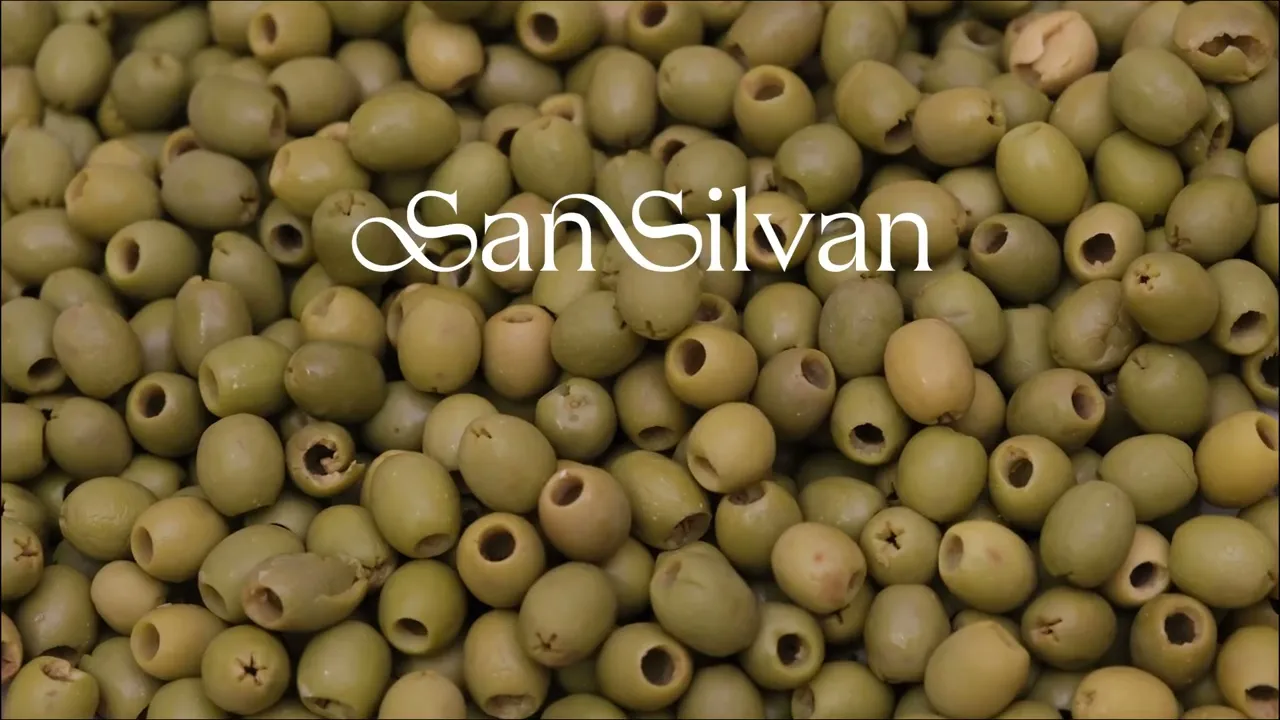 San Silvan - CiaoCiaoCiao (Lyric Video)