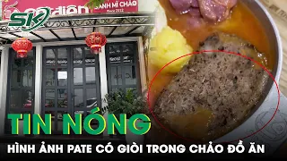 Download Tin Nóng: Thực Khách Hoảng Hồn Khi Phát Hiện Pate Có Giòi Lúc Nhúc Tại Quán Bánh Mì Chảo | SKĐS MP3