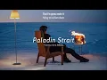 Download Lagu Vietsub | Paladin Strait - Twenty One Pilots | Lyrics Video
