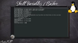 Mastering Shell Variables Local Environment and the bashrc File Explained