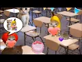 Download Lagu Baby Banana Cat School Cry and Happy Videos Episode 13 😺💛