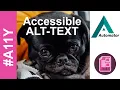 InDesign Accessibility Script for Alt Text