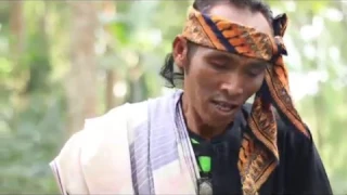 komara galacang gunung gedugan