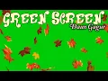 GREEN SCREEN DAUN GUGUR - GREEN SCREEN FALLING LEAVES - GREEN SCREEN MUSIM GUGUR Part 1