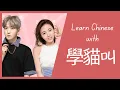 Download Lagu Learn Chinese with 學貓叫 (Xué māo jiào | Learn to Meow) by 小潘潘+小峰峰