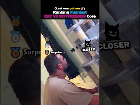 Ranking Funniest CAT VS BOYFRIENDS Core 💥😈#usa