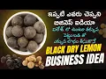 Download Lagu Dry Lemon Business in Telugu – Export Scope, Profit, Market Demand | Black Dry Lemon | New Business