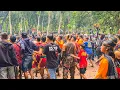 Download Lagu KRONOLOGI❗Penonton Ricuh Bantengan Rogo Samboyo Putro Sumberboto Jombang