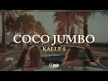 Download Lagu DJ LKM - KALLE 5 - COCO JUMBO (ALBANIAN)