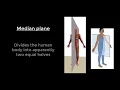 Anatomocal Terminologies part 1