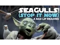 SEAGULLS Stop It Now -