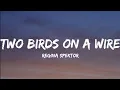 Download Lagu Regina Spektor- Two Birds On A Wire (Lyrics Video)