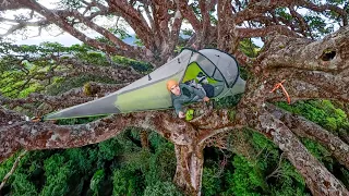 Solo Climbing and Camping in a GIANT Strangler Fig Tree