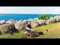 Download Lagu Afro House DJ Set by the Sea | Limhamn, Sweden | Summer Vibes \u0026 Öresund Bridge