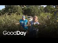 Pick your own blueberries in El Dorado Hills