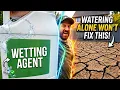 Do Wetting Agents Actually Work The Hydrophobic Lawn Myth
