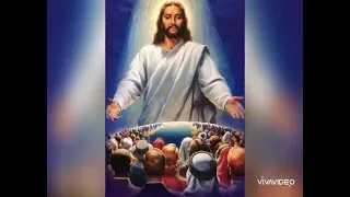 i am catholic i am alive 