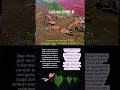 Download Lagu Sound viral tahun 2025. lagu ini kesukaan Akbar.