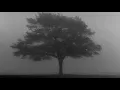 outside - staind // slowed & reverb