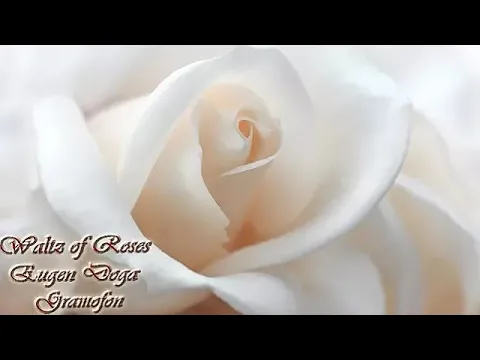 Download MP3 Eugen Doga - Gramofon | Waltz of Roses