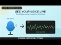 Real-Time Visualizer in Python Fix Input Overflowed Device Errors