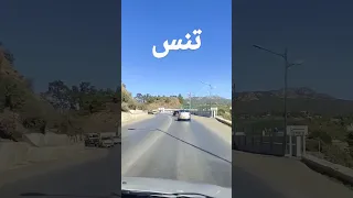 تنس ولاية شلف 