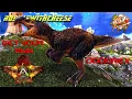 How To Get Your Own Dodorex Turkey Trials Are Back