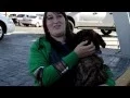ESD Animal Services - Casa Nissan Adoption Event Nov 14 2014