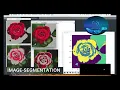 Image Segmentation using Python OpenCV