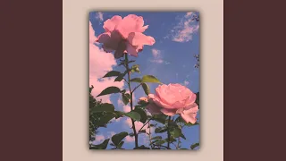 Love Condition Type Beat 